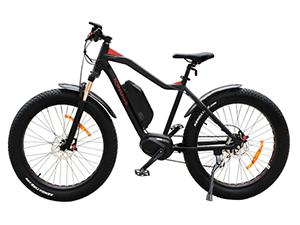 Bicicleta eléctrica de neumáticos anchos TG-S001